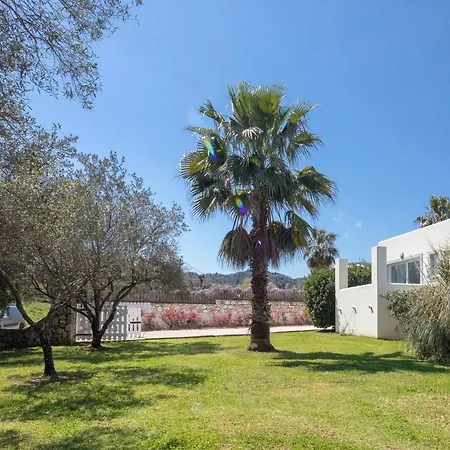 Artemis * 카시오피