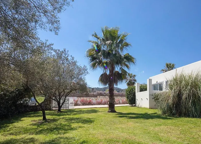 Artemis * كاسيوبي